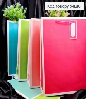 Пакет бумажный с принтом в "Клеточка" и в "Линию", 42*31*12см, в ассортименте 541216 фото