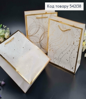 Пакет бумажный "Золотые хаотические линии" 18*23*8см в ассорт. 542138 фото