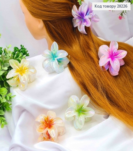 Краб пластик глянцевый "Гавайский цветок", 7,5см, Перламутрово-Яркие цвета в ассортименте. 211226 фото 1