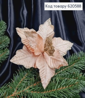 "Рождественник", Цветок Пуансетия ПУДРА+шампань(бархат,), декор,диаметр 16-17см на дротиках длиной10см 620588 фото