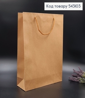 Пакет бумажный средний Крафт 36х27 см 543103 фото