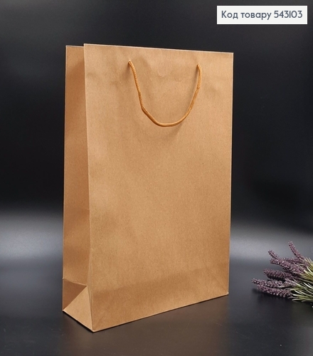 Пакет бумажный средний Крафт 36х27 см 543103 фото 1