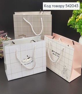 Пакет бумажный малый Клетка нежный 19,5*14,5*8,5 см в асс. 542043 фото