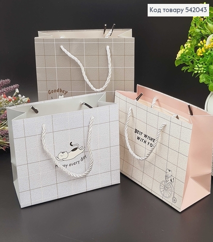 Пакет бумажный малый Клетка нежный 19,5*14,5*8,5 см в асс. 542043 фото 1