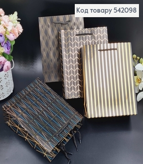 Пакет бумажный Геометрические линии, 18х23х8см, в ассорт. 542098 фото