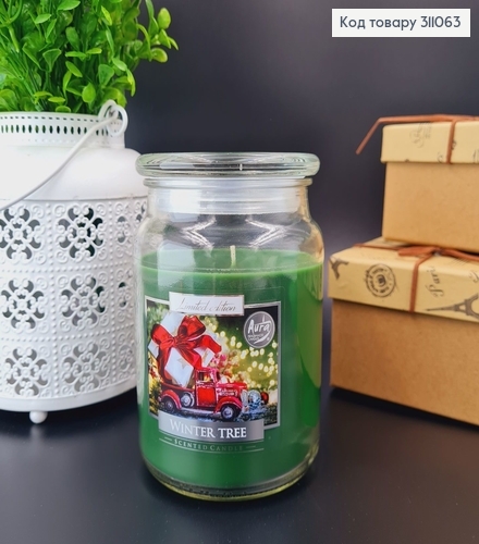 Аромасвечка в банке Winter Tree (елка) BISPOL 500 г/ 100ч.горение snd 99-348 311063 фото 1