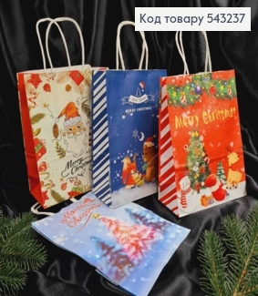 Пакет крафтовый Новогодний "Merry Christmas" в ассортименте, 22*16*8см 543237 фото