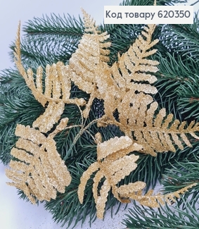 Папороть декоративна ЗОЛОТО блиск, пучок 6шт, 10+5см 620350 фото