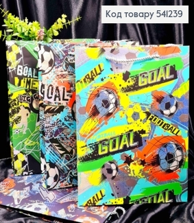Пакет бумажный с рисунком на Футбольную тематику, 32*26*10см, в ассортименте 541239 фото