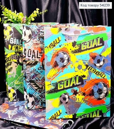 Пакет бумажный с рисунком на Футбольную тематику, 32*26*10см, в ассортименте 541239 фото 1