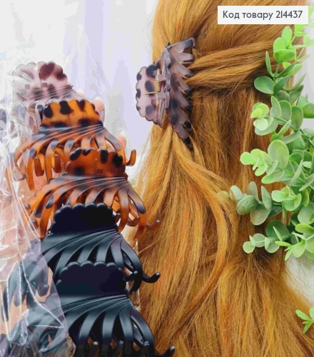 Краб пластик матовый "ПАУЧОК", размер 9см, Пастельные цвета в ассортименте. 214437 фото 1