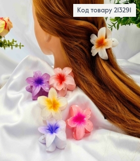 Краб пластик глянцевий "Гавайська Квітка", 6см, кольори в асортименті 213291 фото