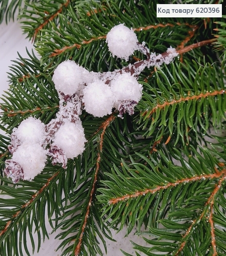 Шипшина БІЛА з інеєм, 18см 620396 фото 1