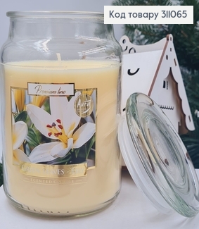 Аромасвечка в банке BISPOL Зеленое листья Лилия    500 г/ 100  часов горения  311065 фото