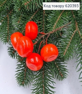 Гілочка з мандаринок 5 шт 3 см 620393 фото