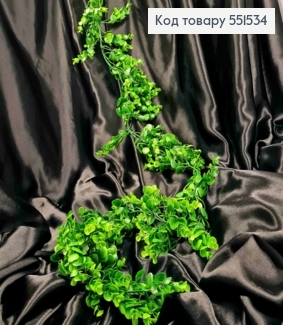 Искусственная декоративная зелень Самшит, ЗЕЛЕНОГО цвета, длина 176см 551534 фото