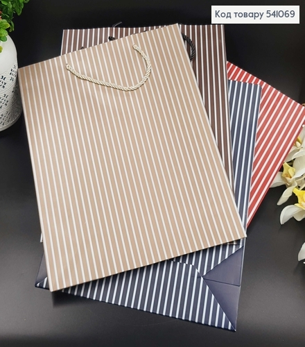 Пакет большой ПОЛОСКА 31*42*12 541069 фото 2