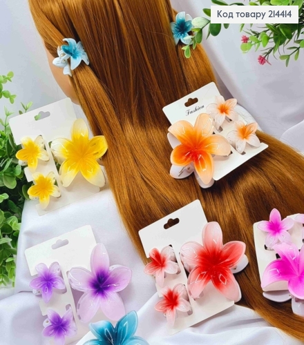 Набор: краб пластик глянцевый, "Гавайский Цветок", 3шт/уп, размер 7,5см, Цвета в ассортименте 214414 фото 1