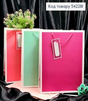 Пакет бумажный в "Клеточка" и "Линия", 32*26*10см, в ассортименте 542281 фото