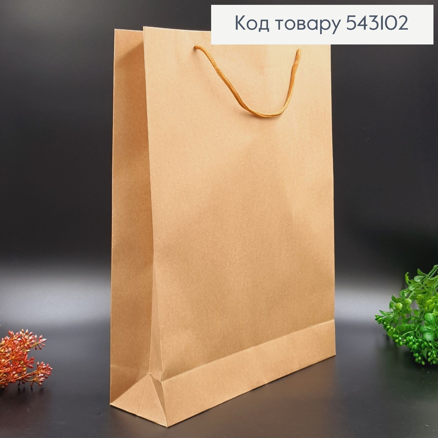 Пакет паперовий великий Крафт 43х31 см 543102 фото 1