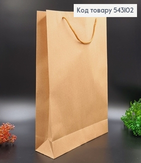 Пакет бумажный большой Крафт 43х31 см 543102 фото