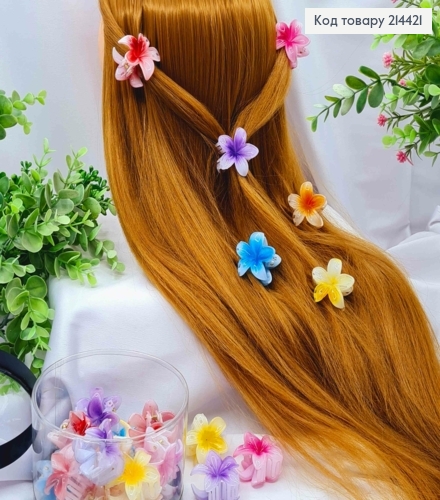 Краб пластик глянцевый "Гавайский Цветочек", размер 4см, яркие цвета в ассортименте. 214421 фото 1