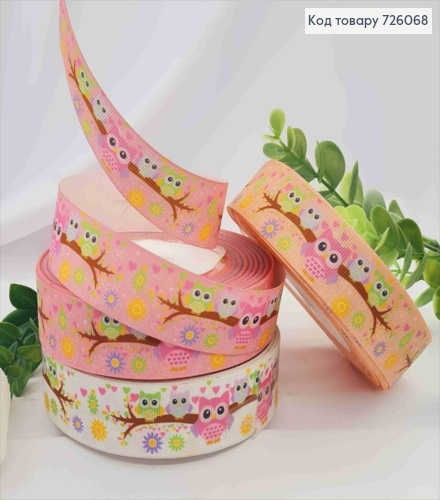 Лента репсовая, Цвета в ассортименте с принтом "Совушки", ширина 2,5см, длина 25 ярдов (23м) 726068 фото 1
