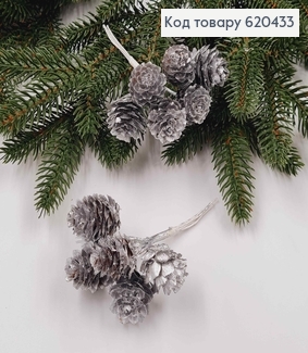 Пучок Шишок (6шт) СРІБНОГО кольору (шишка 2,5*2см, + металева гілочка 7см) 620433 фото