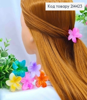 Краб пластик глянцевый "Гавайский Цветочек", размер 4см, яркие цвета в ассортименте. 214423 фото