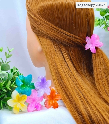 Краб пластик глянцевый "Гавайский Цветочек", размер 4см, яркие цвета в ассортименте. 214423 фото 1