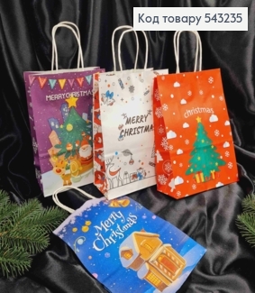 Пакет крафтовый Новогодний "Merry Christmas" в ассортименте, 22*16*8см 543235 фото