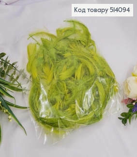 Наполнитель Перья, салатового цвета, 10гр 514094 фото