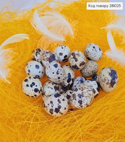 Набор из перепелиных яиц из скорлупы 60 шт. 281025 фото 1