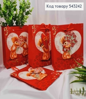 Пакет бумажный с 3D наклейкой "Медвежонок с Цветами" "Love You", 23*18*10см, в ассортименте 543242 фото