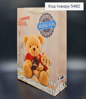 Пакет бумажный, "Мишка - Путешественник" в ассорт. 31*42*12см 541112 фото