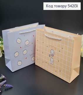 Пакет бумажный "Кавайный" 25,4*20*9,5см в ассорт. 542131 фото