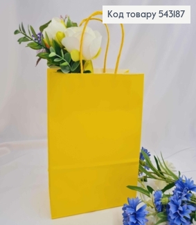 Пакет крафтовый, 16*22*8см, Желтый 543187 фото