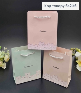 Пакет бумажный "Милые мишки" 15,5*14,6*6,5см в ассорт. 542145 фото