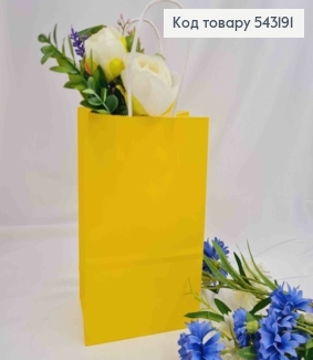 Пакет крафтовый, 13*21*8см, Желтый 543191 фото