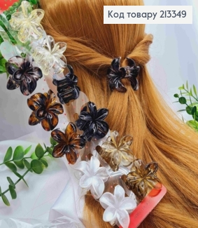 Краб пластик ГАВАЙСЬКА квітка коричнево -бежеві кольори, розмір 3,5см, кольори в асортименті  213349 фото