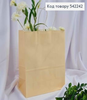 Пакет крафтовый 22*27*11см Бежевый 542242 фото