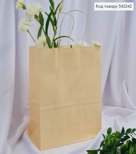 Пакет крафтовый 22*27*11см Бежевый 542242 фото 1