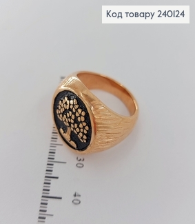 Кольцо      Stainless Steel 270001 фото