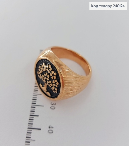 Кольцо      Stainless Steel 270001 фото 1