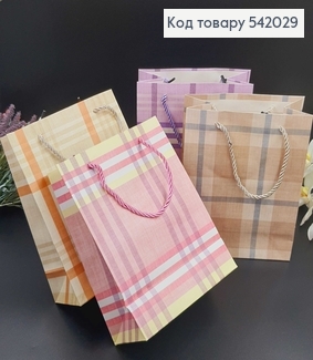 Пакет бумажный средний полоска 24х19 см в асс. 542029 фото