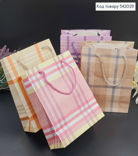 Пакет бумажный средний полоска 24х19 см в асс. 542029 фото 1