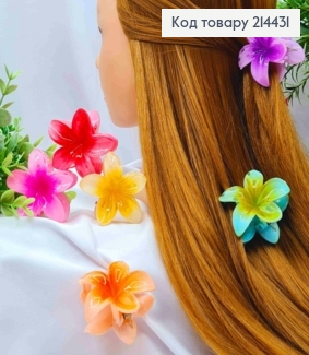 Краб пластик глянцевий "Гавайська Квітка", розмір  5,5см, Яскраві кольори в асортименті 214431 фото