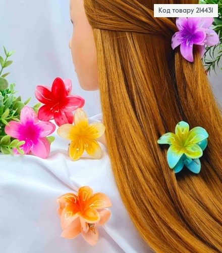 Краб пластик глянцевый "Гавайский Цветок", размер 5,5см, Яркие цвета в ассортименте. 214431 фото 1