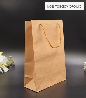 Пакет бумажный маленький Крафт  24,5х19 см 543105 фото