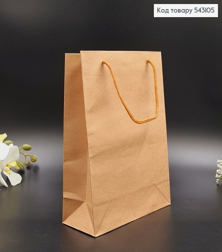 Пакет бумажный маленький Крафт  24,5х19 см 543105 фото 1